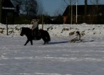 Afbeelding invoegen